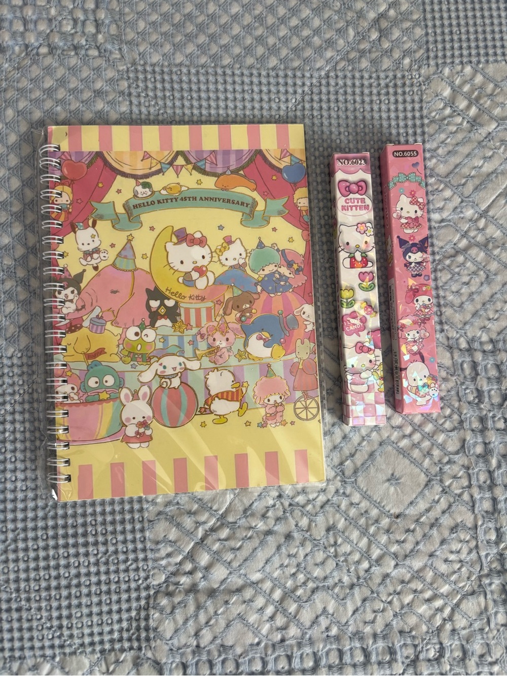 Hello Kitty 45th Anniversary Spiral Notebook with Cute Pink Pencil Boxes